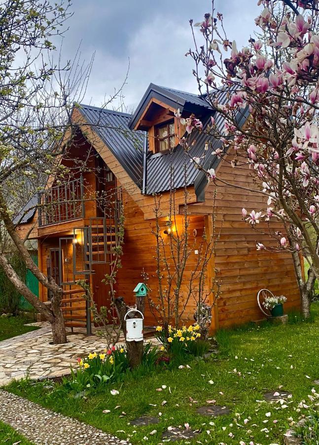 Blue Village 8 Kolašin Exterior foto